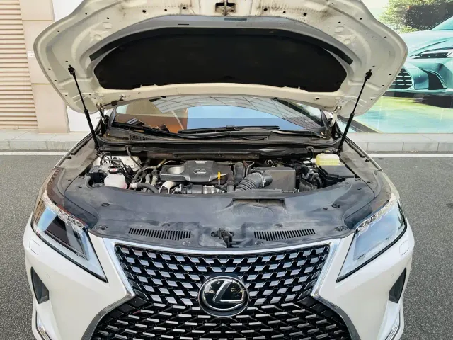 Lexus RX — Фото автомобиля 12