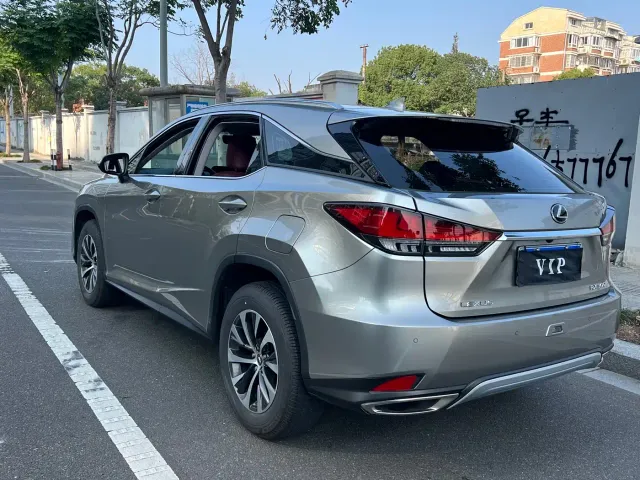 Lexus RX — Фото автомобиля 19