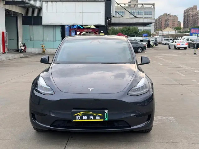 Tesla Model Y — Фото автомобиля 2
