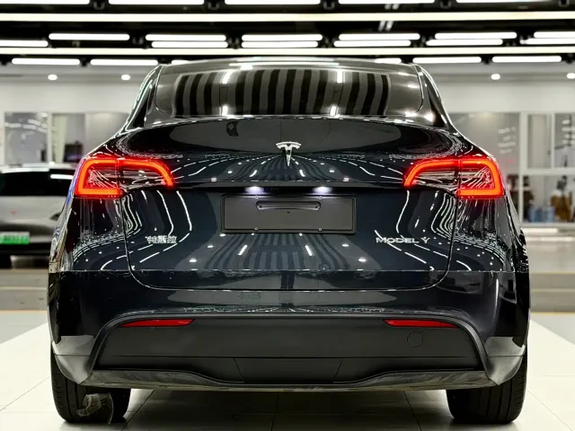 Tesla Model Y — Фото автомобиля 5