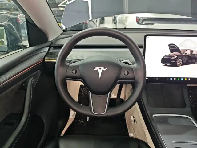 Tesla Model Y — Фото автомобиля 10