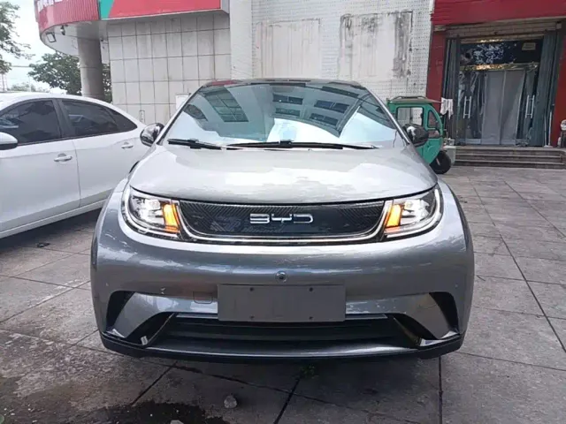 BYD Dolphin — Фото автомобиля 2