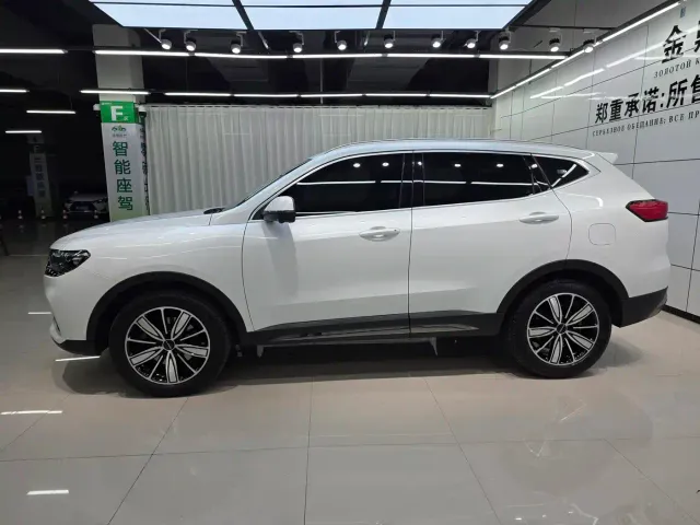 Haval Haval H6 2021 Model National Trend Edition 1.5T Auto Champion — Фото автомобиля 4