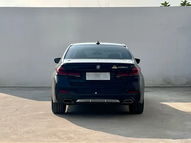 BMW 5 Series — Фото автомобиля 5