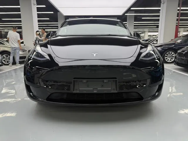 Tesla Model Y — Фото автомобиля 2