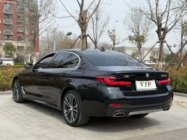 BMW 5 Series — Фото автомобиля 19