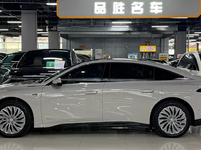 Buick Electra L7 — Фото автомобиля 4