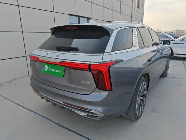 Hongqi E-HS9 — Фото автомобиля 6