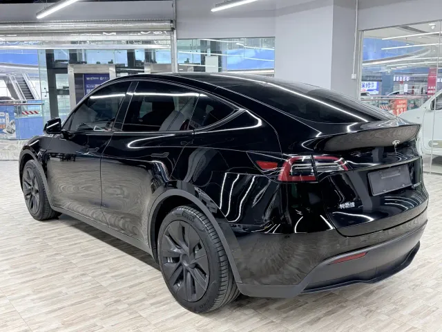 Tesla Model Y — Фото автомобиля 3