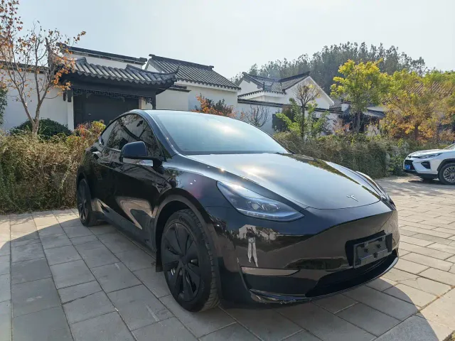 Tesla Model Y — Фото автомобиля 3
