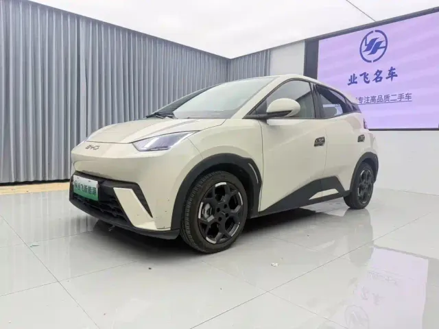 Фотография автомобиля — BYD Seagull