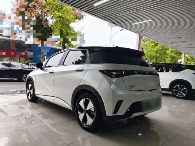 BYD Dolphin — Фото автомобиля 4