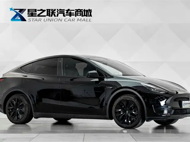 Tesla Model Y — Фото автомобиля 6