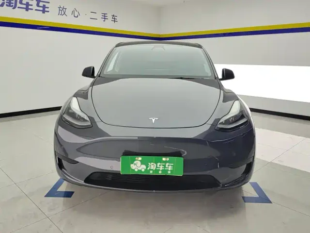 Tesla Model Y — Фото автомобиля 2