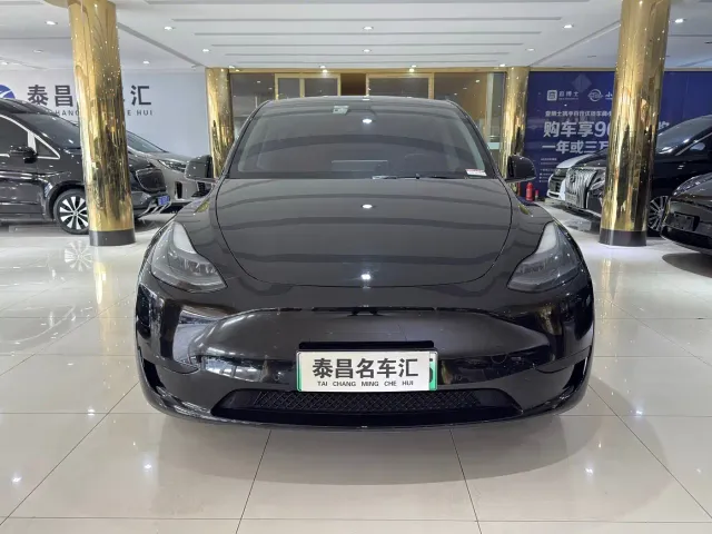 Tesla Model Y — Фото автомобиля 2