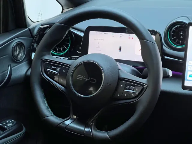 BYD Dolphin — Фото автомобиля 7
