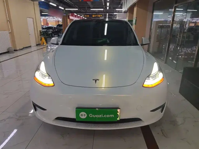 Tesla Model Y — Фото автомобиля 2