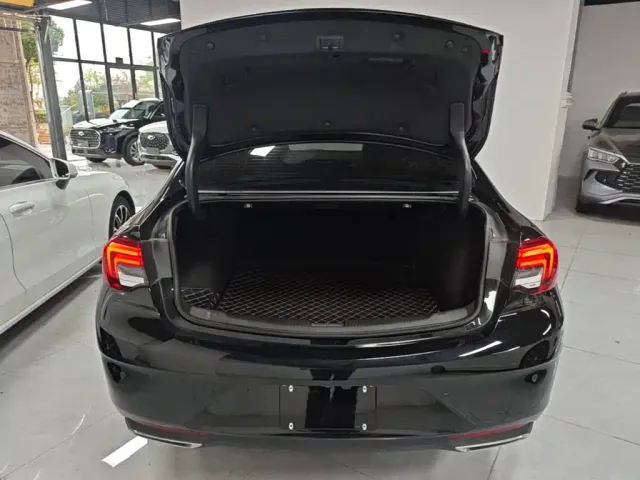 Buick Regal — Фото автомобиля 18