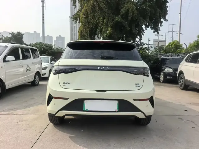BYD Dolphin 2025 Smart Drive Edition 420km Freedom Version — Фото автомобиля 4