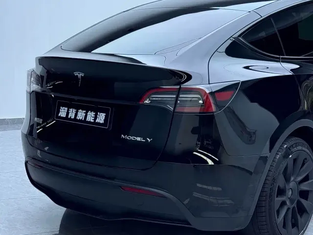 Tesla Model Y — Фото автомобиля 14