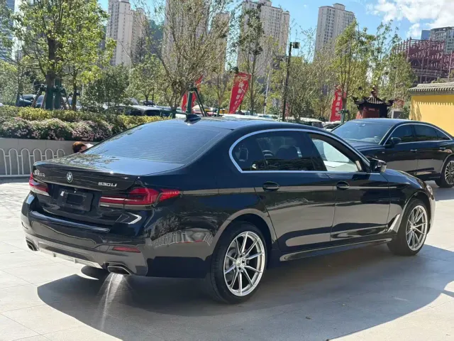 BMW 5 Series — Фото автомобиля 12