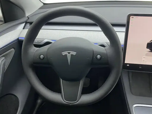 Tesla Model Y — Фото автомобиля 14