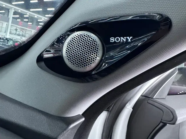 Chery Tiggo 7 PLUS — Фото автомобиля 18