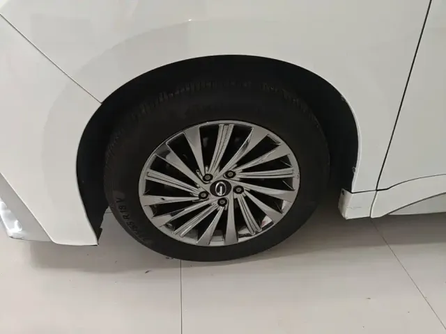 GAC Trumpchi M8 — Фото автомобиля 22