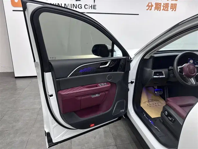 Hongqi E-HS9 — Фото автомобиля 6