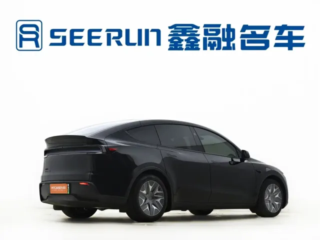Tesla Model Y L — Фото автомобиля 14