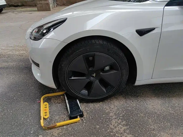 Tesla Model 3 — Фото автомобиля 22