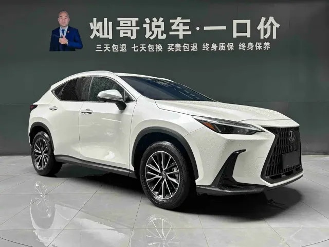 Lexus NX — Фото автомобиля 19