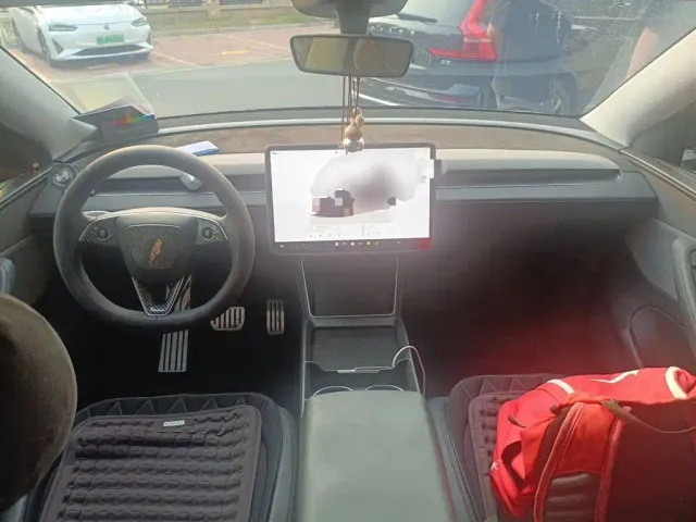 Tesla Model Y — Фото автомобиля 10