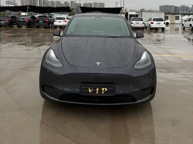 Tesla Model Y — Фото автомобиля 2