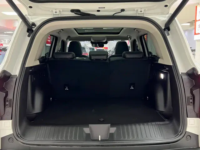 Haval Big Dog — Фото автомобиля 13