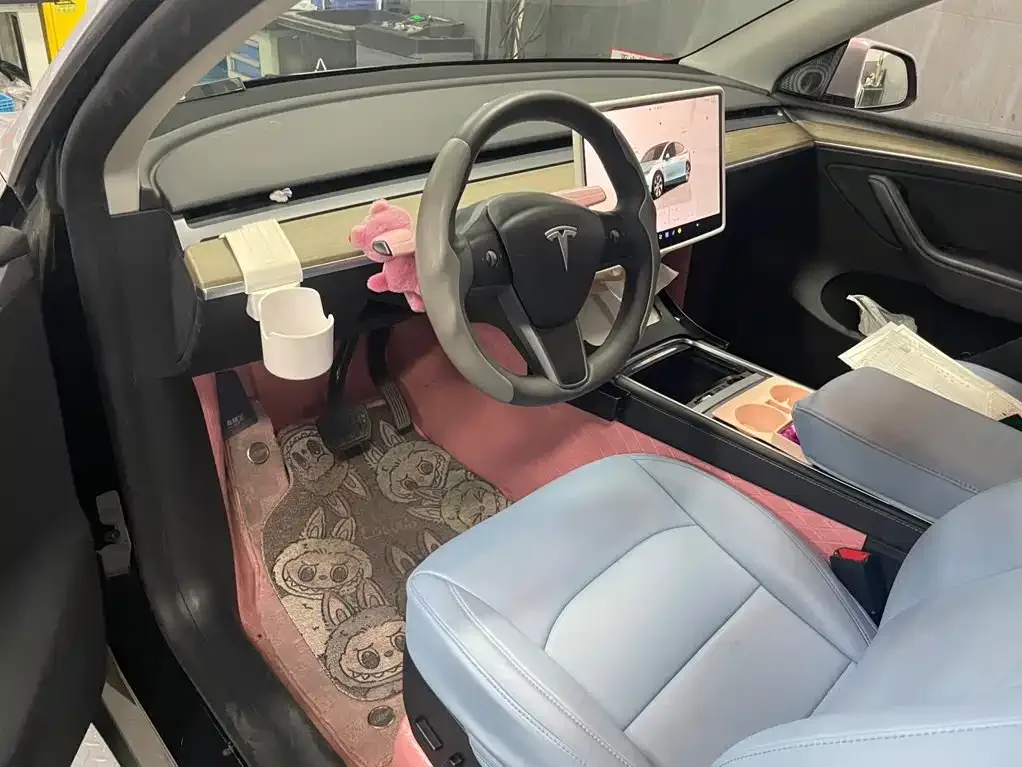 Tesla Model Y 2022 Facelift Long Range All-Wheel Drive Version — Фото автомобиля 6