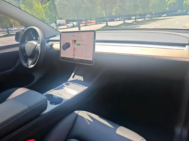 Tesla Model Y — Фото автомобиля 9