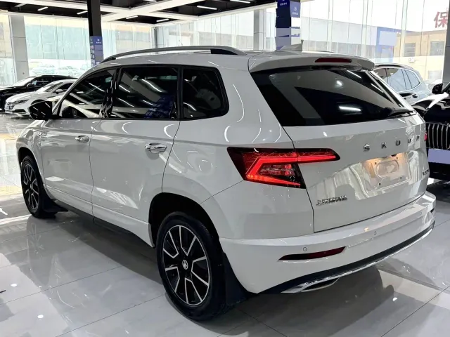 Skoda Karoq — Фото автомобиля 11