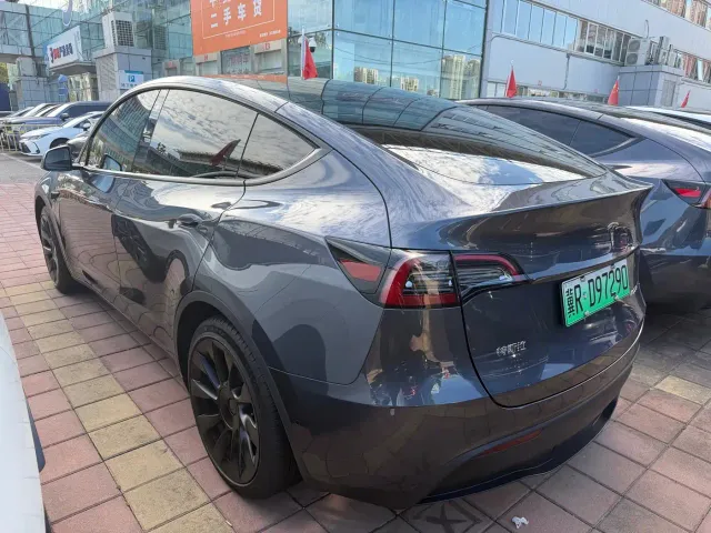 Tesla Model Y — Фото автомобиля 10