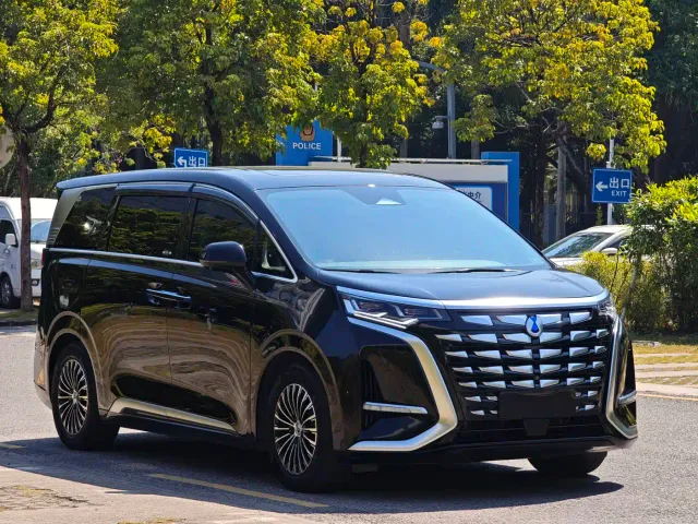 Denza D9 — Фото автомобиля 3