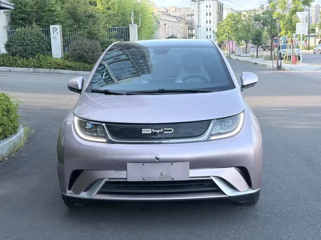 BYD Dolphin — Фото автомобиля 2