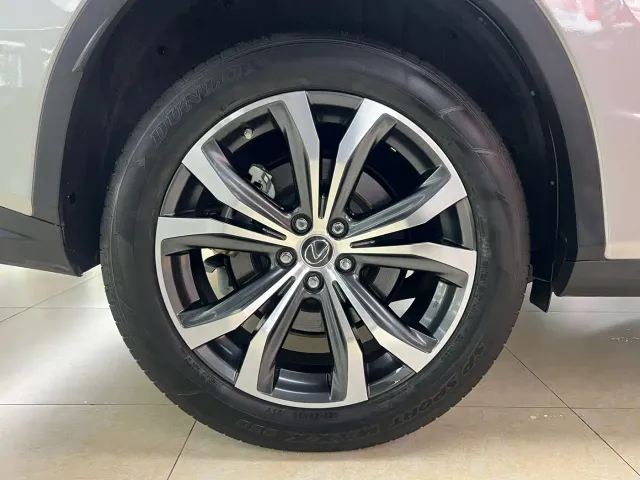Lexus RX — Фото автомобиля 30