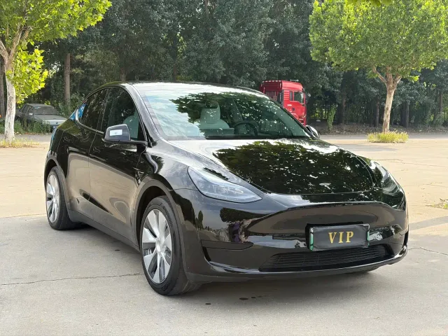 Tesla Model Y — Фото автомобиля 3
