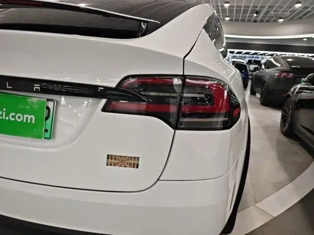 Tesla Model X — Фото автомобиля 7