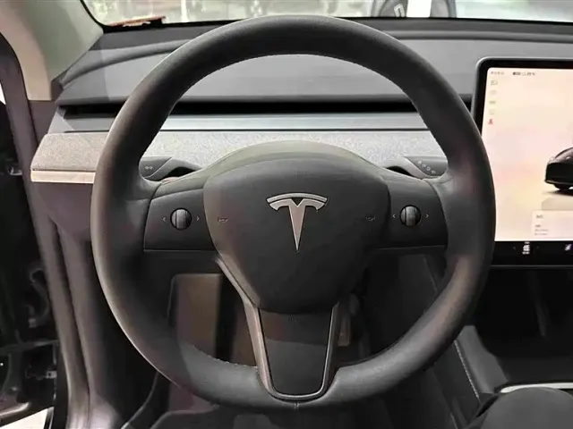 Tesla Model Y — Фото автомобиля 10