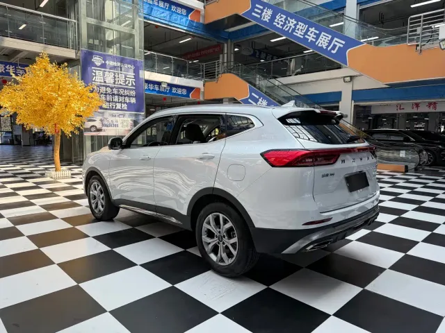 Haval H6 — Фото автомобиля 6