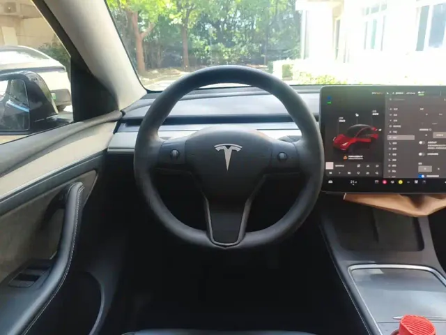 Tesla Model Y — Фото автомобиля 10