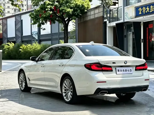BMW 5 Series — Фото автомобиля 9