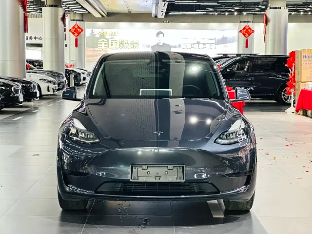 Tesla Model Y — Фото автомобиля 2