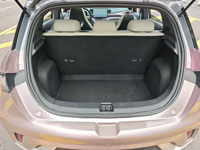 BYD Dolphin — Фото автомобиля 26